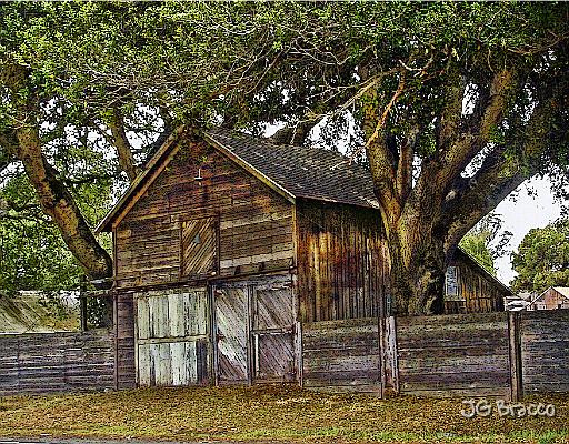 DSC02753-v2.tif - Petaluma