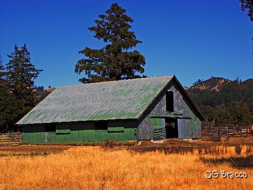 DSC03442.tif - Knights Valley