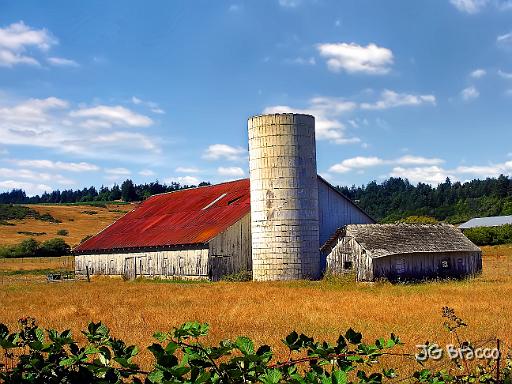 DSC03501-c2.tif - Silo Barn, Freestone (Summer)