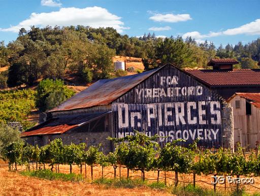 DSC04175-c1.tif - Medical Discovery Barn, Alexander Valley