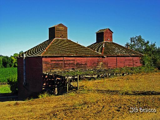 DSC04204.tif - Hop Kiln, Dry Creek