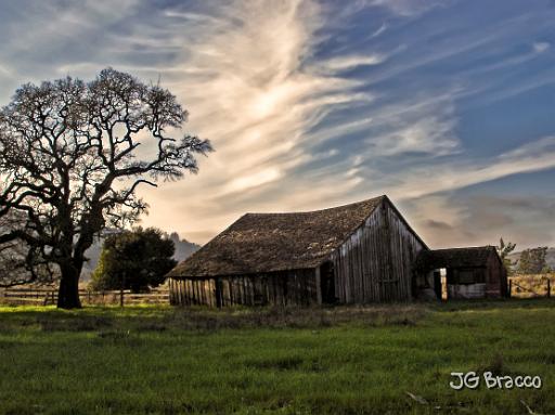 DSC05952.tif - Petaluma (Spring)