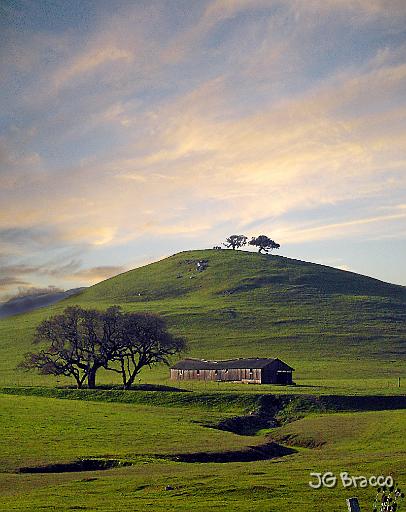 DSC05957-c1.tif - West Petaluma