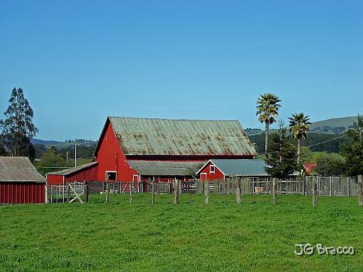 DSC06251.tif - Penngrove