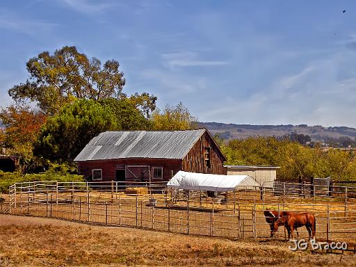 DSC11250-1-o.tif - Horse Barn, Penngrove