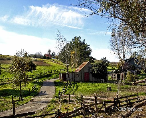 DSC12438-9.tif - Penngrove