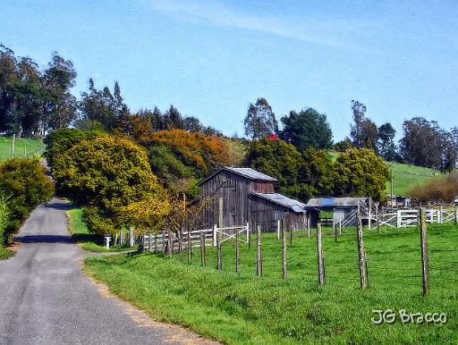 DSC14049-a1.tif - Petaluma Hills