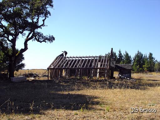 DSC17886.JPG - Petaluma (2012 - rebuilding???)