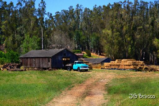 DSC20006.tif - Penngrove