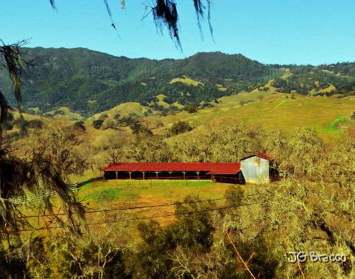 DSC23225-7-o.tif - Alexander Valley Hills
