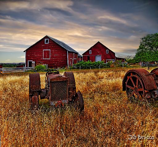DSC24162-4-o-r1-c2.tif - Petaluma Road Barns