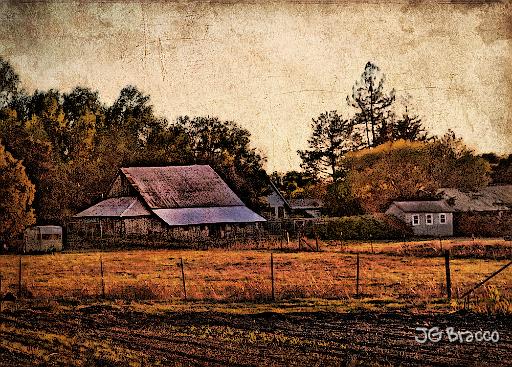 DSC27885-r1.tif - Penngrove
