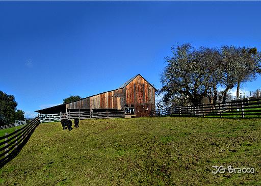 DSC31021-2-o.tif - Rockpile