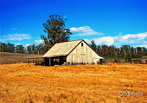 DSC32562-r1-a1.tif - Lakeville