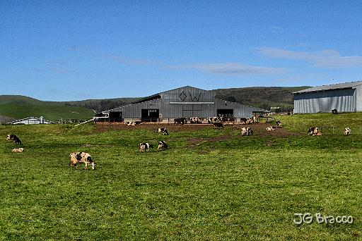 DSC35313.tif - Diamond W Ranch, Two Rock Area