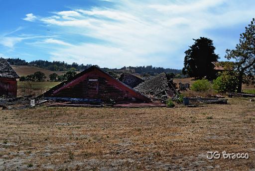 DSC35699.tif - Petersen Barn, Collapsed winter of 2017.