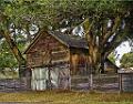 DSC02753-v2