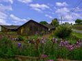 DSC02781-v3