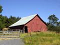 DSC03275-c1