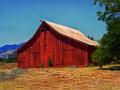 DSC03432-c2