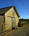 DSC03555-c1