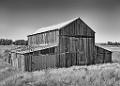 DSC03596-c1