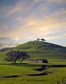DSC05957-c1