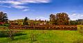 DSC09496-9-o