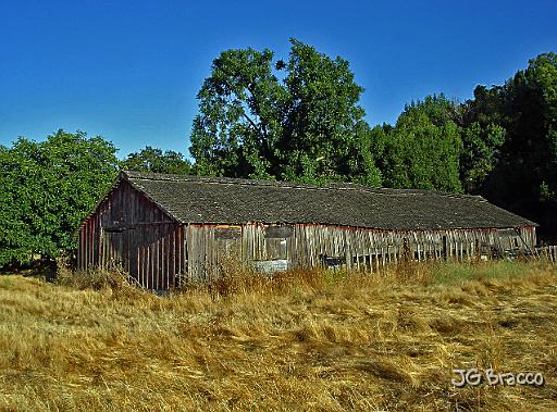 DSC01867.tif - Penngrove