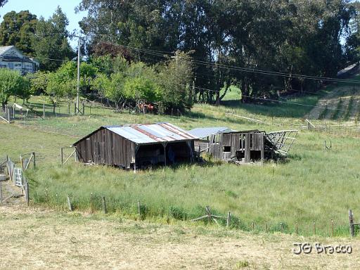 DSC02733.JPG - Cotati