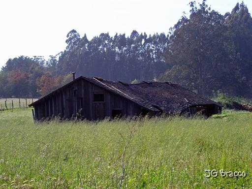 DSC02743.JPG - Cotati