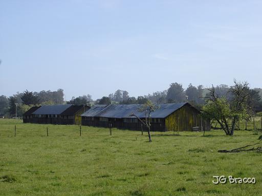 DSC02744.JPG - Cotati