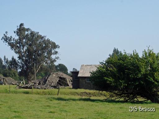 DSC02745.JPG - Cotati