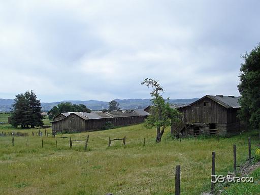DSC02761.JPG - Petaluma