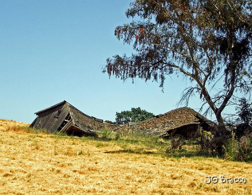 DSC02987.JPG - West Petaluma