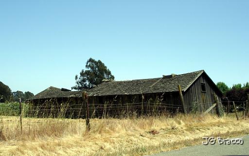 DSC02989.JPG - West Petaluma