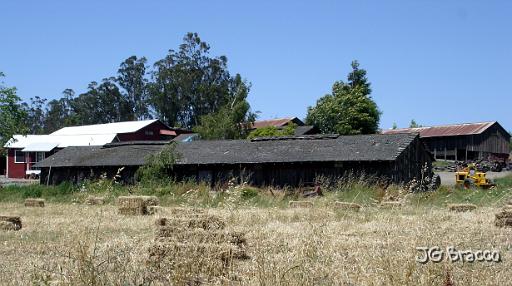 DSC02994.JPG - West Sonoma County