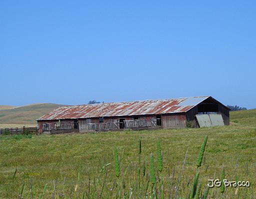 DSC03012.JPG - West Petaluma