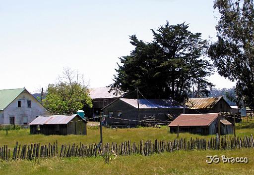 DSC03016-c1.jpg - West Petaluma