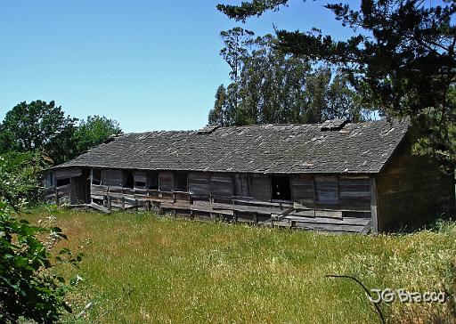 DSC06568.tif - Penngrove