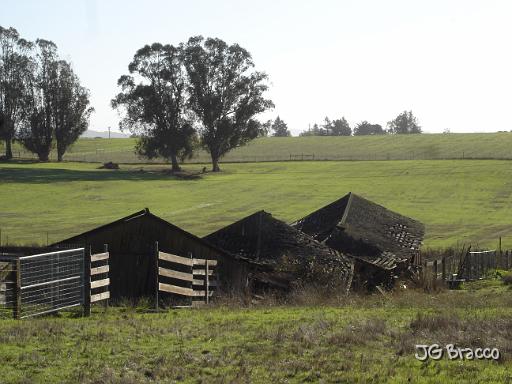 DSC11755.JPG - Petaluma