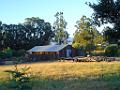 DSC00605