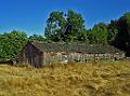 DSC01867