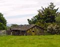 DSC02774