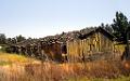 DSC02983-c1
