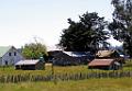 DSC03016-c1