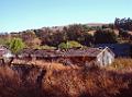 DSC04338