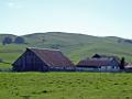 DSC06186