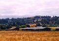 DSC10383-c1
