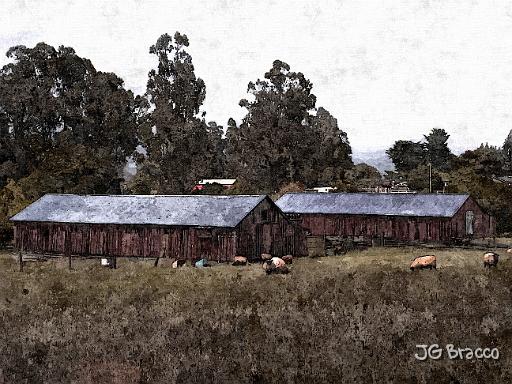 DSC02830-a5.jpg - Sheep Barns